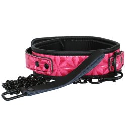 Sinful Collar & Leash Sex Toy
